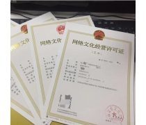 網絡文化經營中的產品庫構建與管理